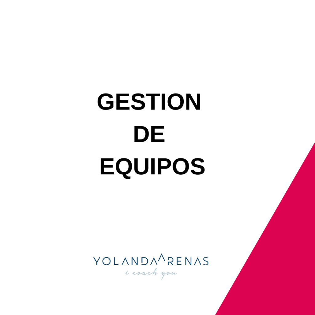 GESTION DE EQUIPOS