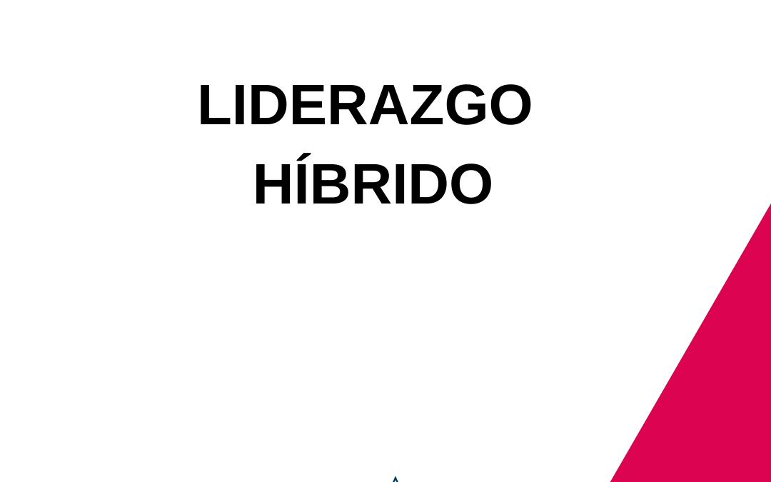 LIDERAZGO HIBRIDO